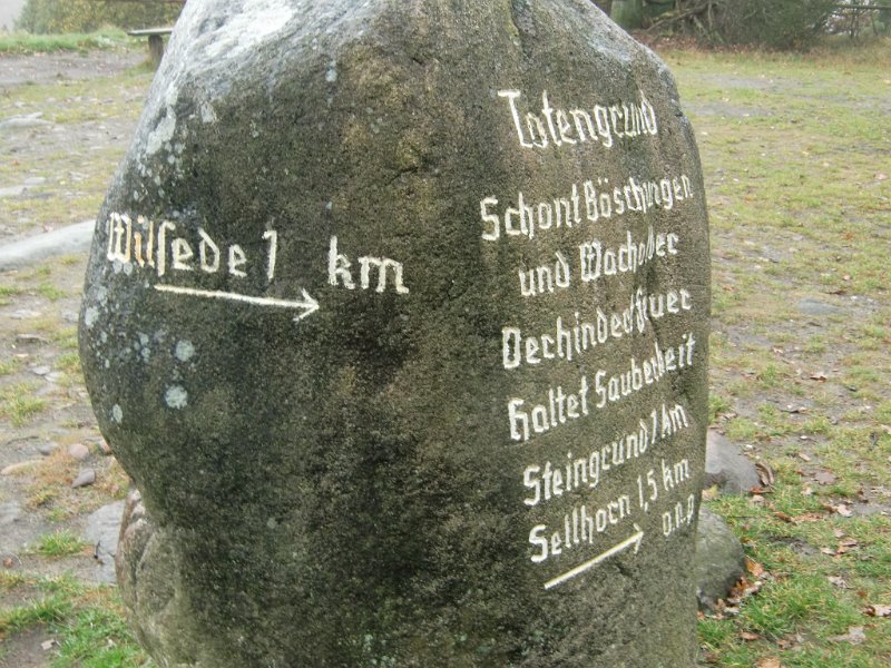 Wilseder Berg 1 2010 066